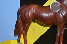 Load image into Gallery viewer, Man O War-Still Attached to Box-Man O War Mold-Breyer Classic