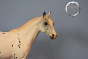 Shotgun Jetta-Ideal Stock Horse (ISH)-Peter Stone