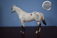 Load image into Gallery viewer, Shotgun Jetta-Ideal Stock Horse (ISH)-Peter Stone