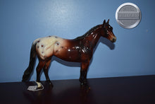 Load image into Gallery viewer, Lover Girl-E Horse Series-Ideal Stock Horse (ISH)-Peter Stone