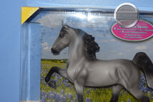 Load image into Gallery viewer, Mason-Horse of the Year-New in Box-Breyer Classic