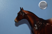 Load image into Gallery viewer, Lover Girl-E Horse Series-Ideal Stock Horse (ISH)-Peter Stone