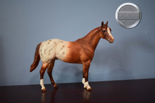 Load image into Gallery viewer, Copper Stars-FCM with Roached Mane-Ideal Stock Horse (ISH)-Peter Stone