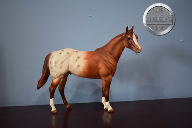 Copper Stars-FCM with Roached Mane-Ideal Stock Horse (ISH)-Peter Stone