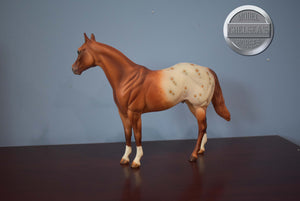 Copper Stars-FCM with Roached Mane-Ideal Stock Horse (ISH)-Peter Stone