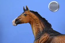 Load image into Gallery viewer, Altynai-Premier Club Exclusive-Akhal Teke Mold-Breyer Traditional