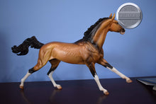 Load image into Gallery viewer, Altynai-Premier Club Exclusive-Akhal Teke Mold-Breyer Traditional