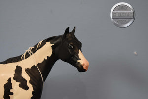 DAH Factory Custom Black and White Paint-Ideal Stock Horse (ISH)-Peter Stone