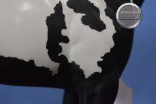 Load image into Gallery viewer, DAH Factory Custom Black and White Paint-Ideal Stock Horse (ISH)-Peter Stone