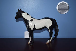 DAH Factory Custom Black and White Paint-Ideal Stock Horse (ISH)-Peter Stone