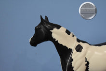 Load image into Gallery viewer, DAH Factory Custom Black and White Paint-Ideal Stock Horse (ISH)-Peter Stone