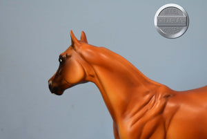 Streak Macktavish-Ideal Stock Horse (ISH)-Peter Stone