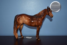 Load image into Gallery viewer, Impressive Spice-Judges Model-LE of 10-Ideal Stock Horse (ISH)-Peter Stone
