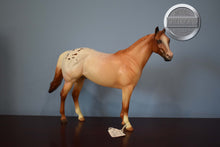 Load image into Gallery viewer, Bruno-LE of 19 by Sheryl Leisure-Ideal Stock Horse (ISH)-Peter Stone