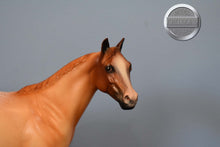 Load image into Gallery viewer, Bruno-LE of 19 by Sheryl Leisure-Ideal Stock Horse (ISH)-Peter Stone