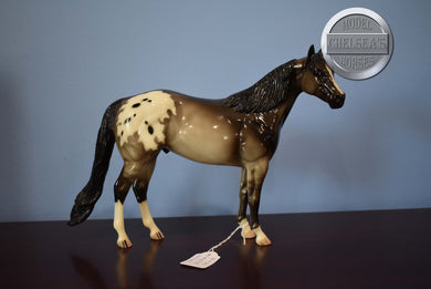 Bingo-Long Tail Version-Ideal Stock Horse (ISH)-Peter Stone