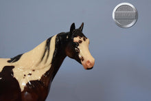 Load image into Gallery viewer, Budgee-OOAK Paint Mare-Ideal Stock Horse (ISH)-Peter Stone