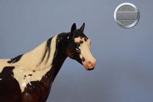 Budgee-OOAK Paint Mare-Ideal Stock Horse (ISH)-Peter Stone