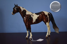 Load image into Gallery viewer, Budgee-OOAK Paint Mare-Ideal Stock Horse (ISH)-Peter Stone