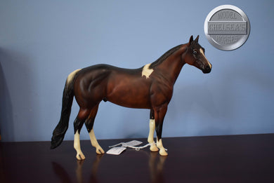 Sparkle-Test for A Dream of Sparkle-OOAK-Ideal Stock Horse (ISH)-Peter Stone