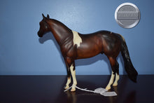 Load image into Gallery viewer, Sparkle-Test for A Dream of Sparkle-OOAK-Ideal Stock Horse (ISH)-Peter Stone