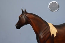 Load image into Gallery viewer, Sparkle-Test for A Dream of Sparkle-OOAK-Ideal Stock Horse (ISH)-Peter Stone