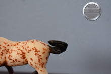 Load image into Gallery viewer, Tobias-Appaloosa Mold-Stablemate Club Exclusive-Breyer Stablemate