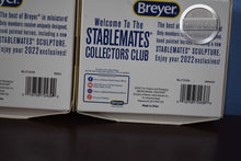 Load image into Gallery viewer, Stablemate Club Extra BOXES-Select Your Box-No Models-Breyer Accessories