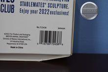 Load image into Gallery viewer, Stablemate Club Extra BOXES-Select Your Box-No Models-Breyer Accessories
