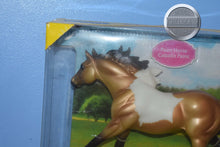 Load image into Gallery viewer, Buckskin Paint Stallion-American Quarter Horse Stallion Mold-New in Box-Breyer Classic