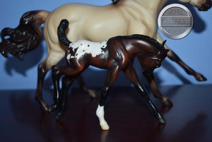Blackfoot and Thunderbolt-Quarter Horse Stallion and Foal Mold-Breyer Classic