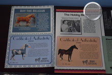 Load image into Gallery viewer, Assorted COA&#39;s and Hang Tags-YOU SELECT COA-Breyer Accessories