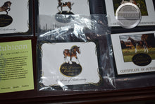 Load image into Gallery viewer, Assorted COA&#39;s and Hang Tags-YOU SELECT COA-Breyer Accessories