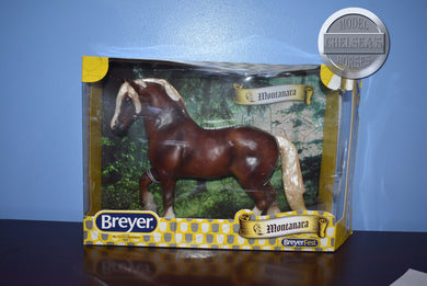 Montanara-Breyerfest Exclusive-New in Box-DAMAGED BOX-Freisian Mold-Breyer Traditional