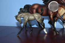 Load image into Gallery viewer, AQHA Poco Bueno Family-Quarter Horse Family-Breyer Classic