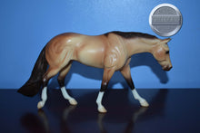 Load image into Gallery viewer, AQHA Poco Bueno Family-Quarter Horse Family-Breyer Classic