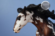 Load image into Gallery viewer, Moon Warrior-HTF-Connoisseur Exclusive-Nokota Mold-With Bag and COA-Breyer Traditional