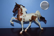 Load image into Gallery viewer, Salem #2 in stock-Halloween Exclusive-Breyer Classic