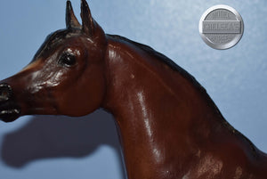 Bay Proud Arabian Stallion-Breyer Traditional