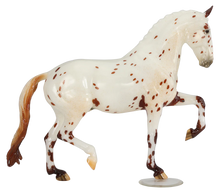 Load image into Gallery viewer, Sorry, Not Sorry-Keltic Salinero Mold-Breyerfest 2024 Special Run-Breyer Traditional