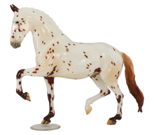 Load image into Gallery viewer, Sorry, Not Sorry-Keltic Salinero Mold-Breyerfest 2024 Special Run-Breyer Traditional