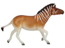 Load image into Gallery viewer, I Will Survive-Zebra Mold-Breyerfest 2024 Special Run-Breyer Traditional-ADVANCE SALE
