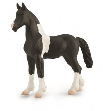 Barock Pinto Foal-#88893-CollectA