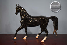Load image into Gallery viewer, Akhal Teke Mare-Loyalty Club Exclusive-Glossy Black-Peter Stone