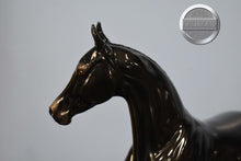 Load image into Gallery viewer, Akhal Teke Mare-Loyalty Club Exclusive-Glossy Black-Peter Stone
