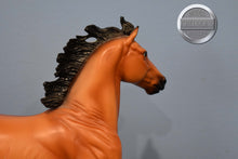 Load image into Gallery viewer, Jewel-Show Jumper Mold-Holiday Exclusive-Breyer Traditional