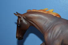 Load image into Gallery viewer, Roan Seven Arts Surprise-Matte-Breyerfest Special Run Exclusive-Breyer Traditional