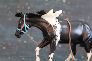 Custom Traditional Sized Halters-From 907 Tack Shop-Accessories