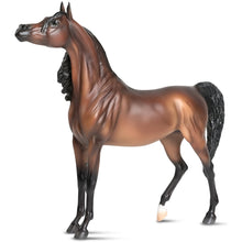 Load image into Gallery viewer, RD Marciea Bey-Show Stance Arabian Mare Mold-Breyer Traditional
