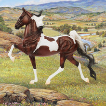Load image into Gallery viewer, Pinto-Ideal Series by Orren Mixer-Saddlebred Mold-New in Box-Breyer Traditional-PRE ORDER